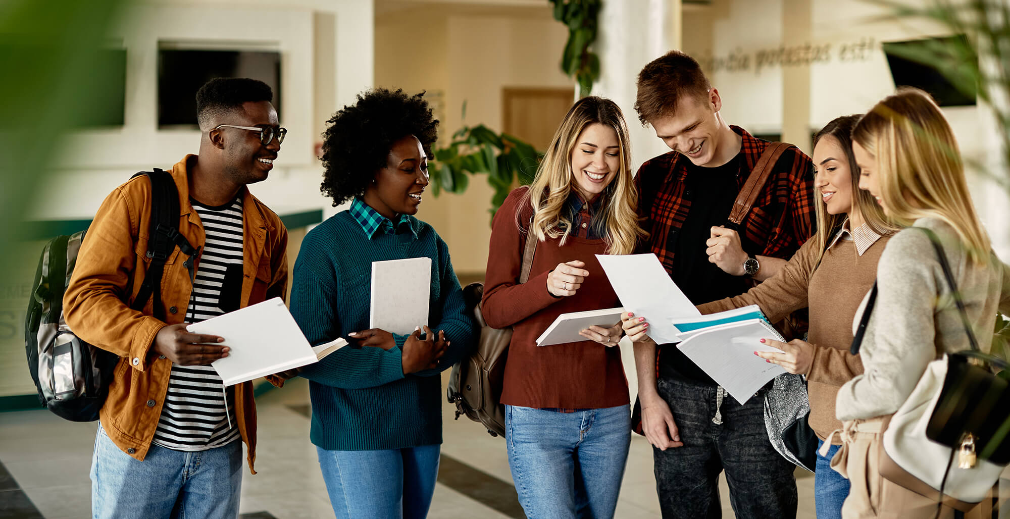 Pearson Higher Education D2L